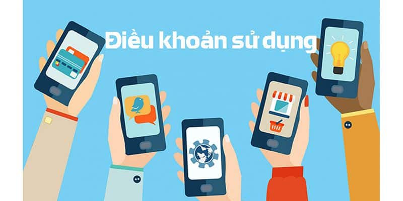 Điều khoản và quy định